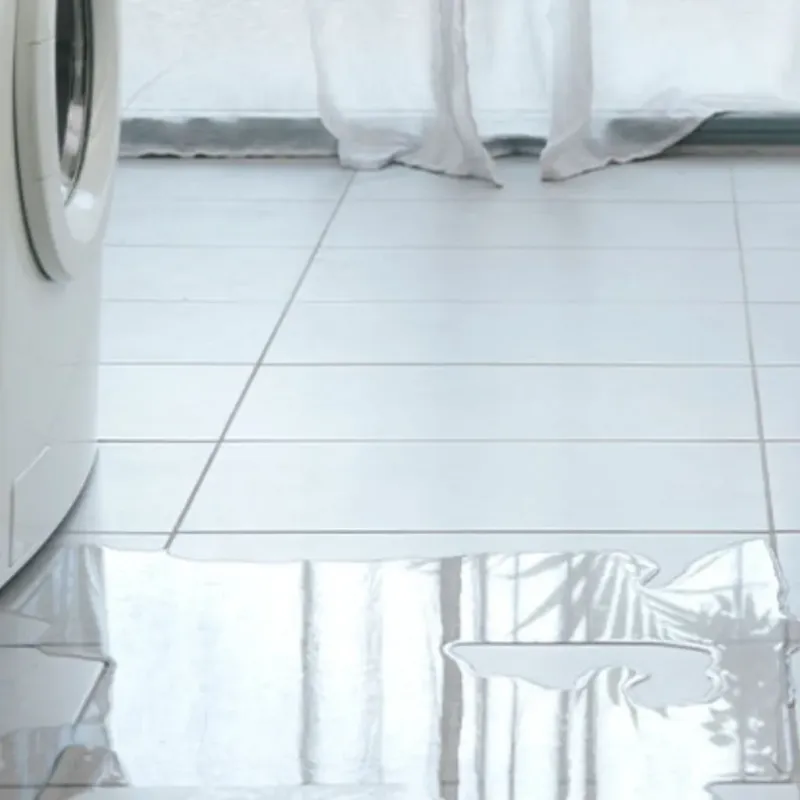 Appliance Leak Cleanup in Brownsboro, TX