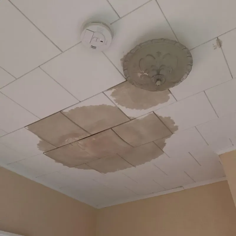 Ceiling Water Damage Repair in Brownsboro, TX