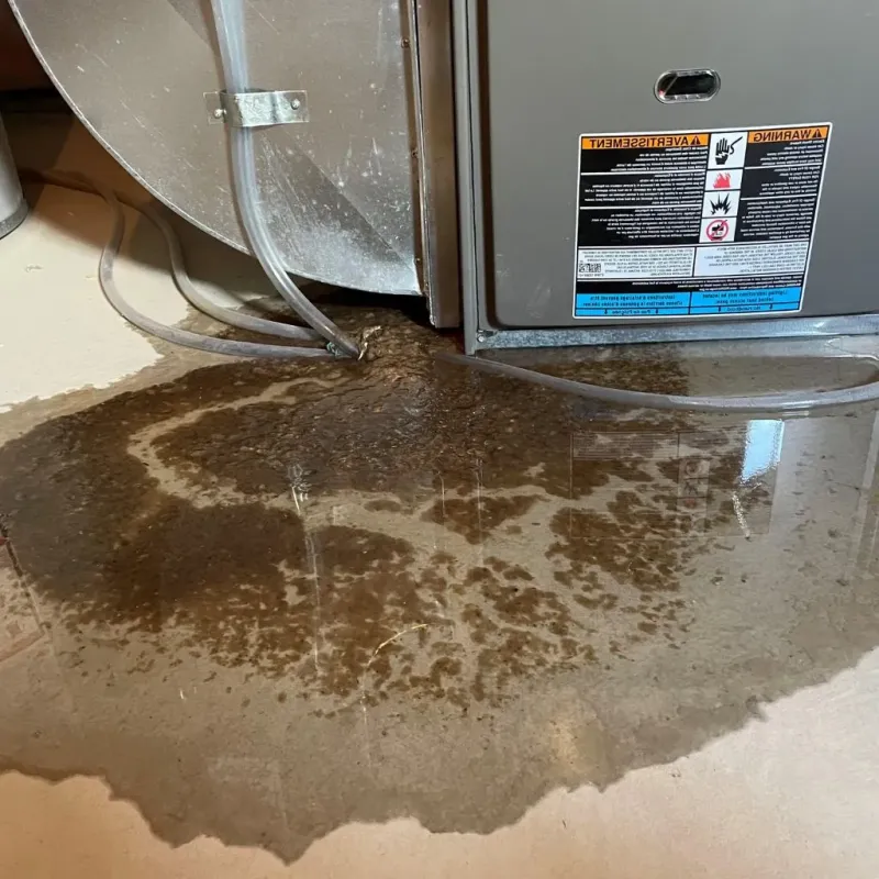 Pipe Burst and Leak Restoration in Brownsboro, TX