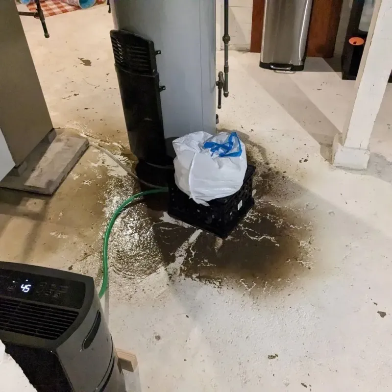 Sewage Backup Cleanup Service in Brownsboro, TX